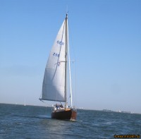 Segelboot in der Schlei
