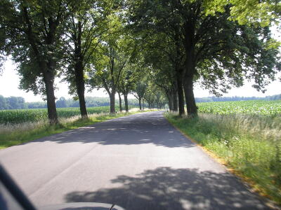 Brandenburger Allee
