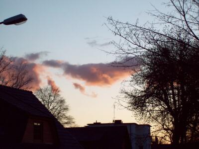 100_1316.jpg