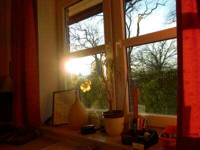 Wintersonne