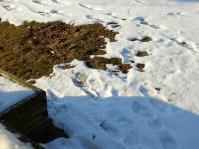 Spuren im Schnee