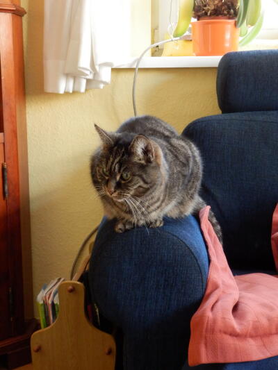 Elke auf Couch